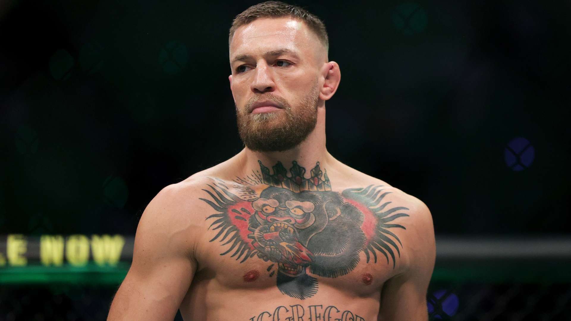 踏上球场 踏上球场