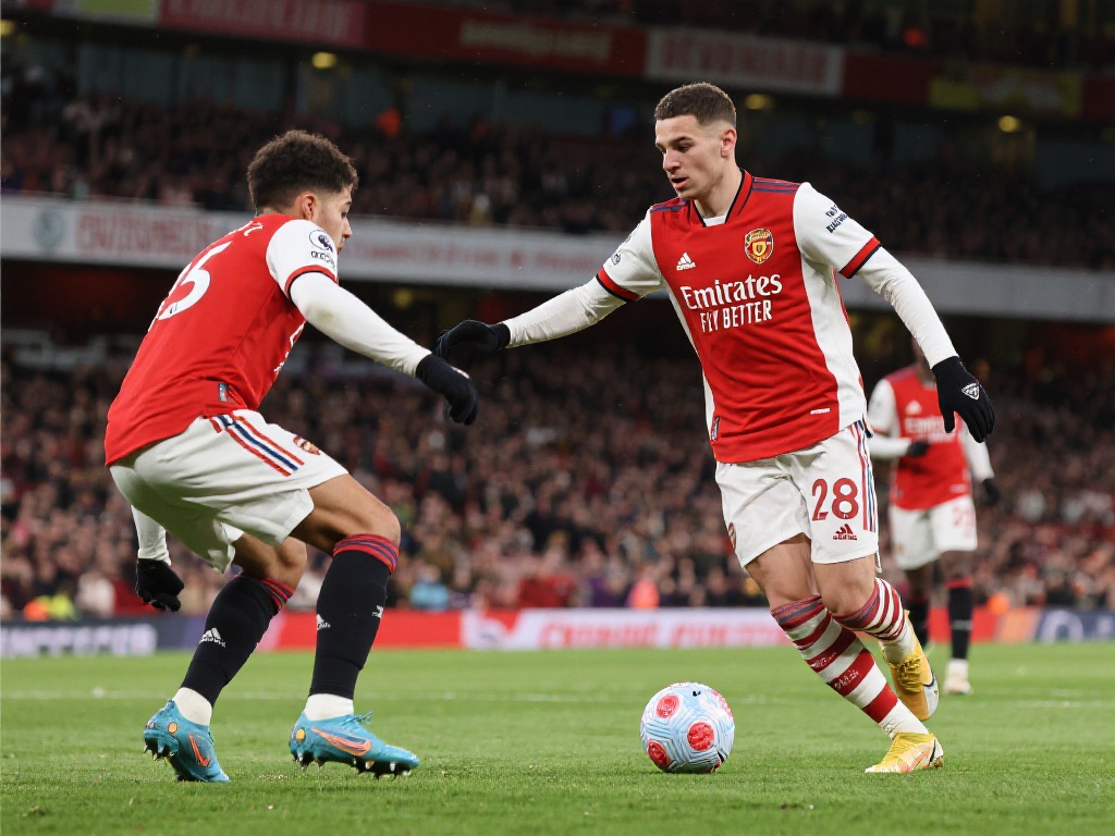 这一任命不 这一任命不