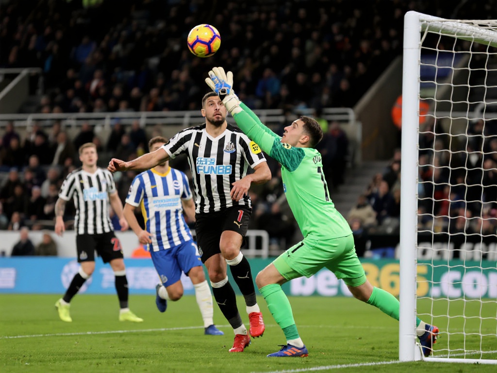 东晟则在面 东晟则在面